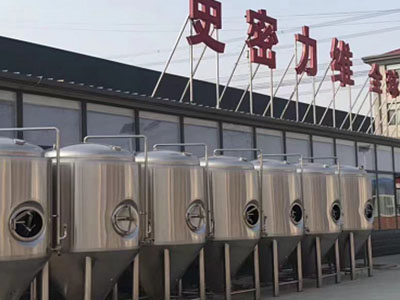 小金精酿啤酒设备厂—如何判断精酿啤酒设备的密封件需要更换？